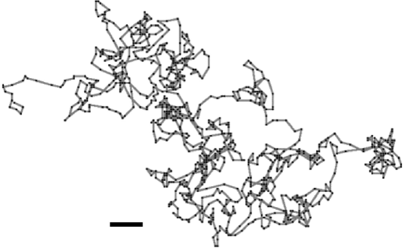 random walk
